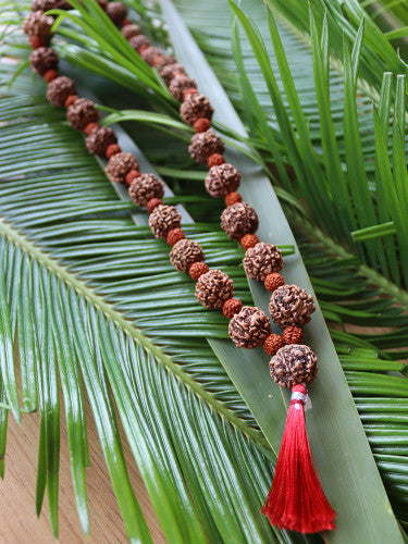 Mala Rudraksha Bhai