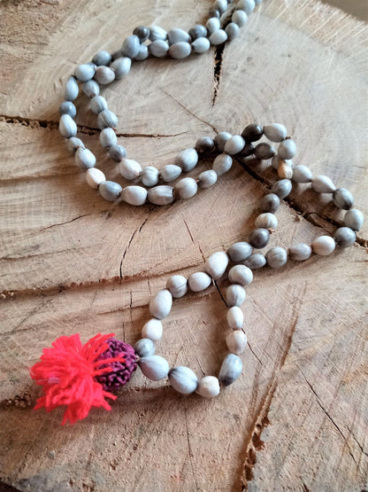 Mala Vaijayanti semilla natural