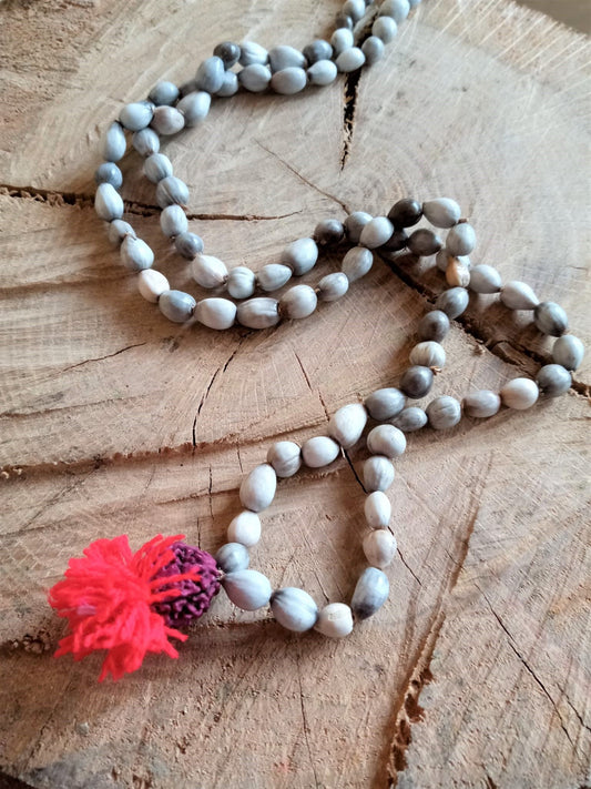 Mala Vaijayanti semilla natural