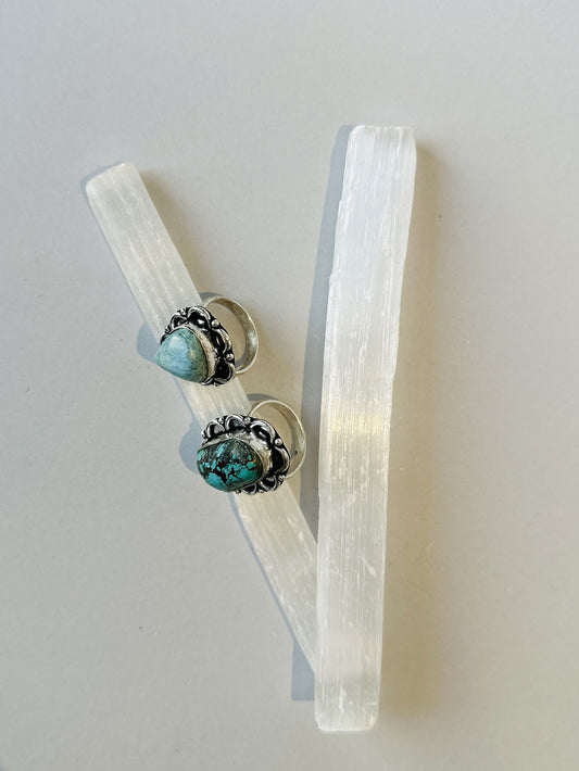 Anillo Uda