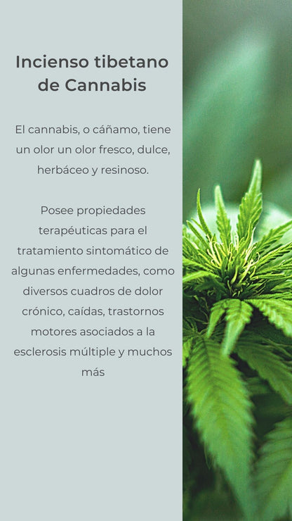 Incienso tibetano natural Cannabis x5