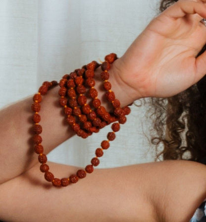 Mala semilla Rudraksha 8mm