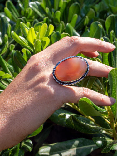 Anillo Ergami