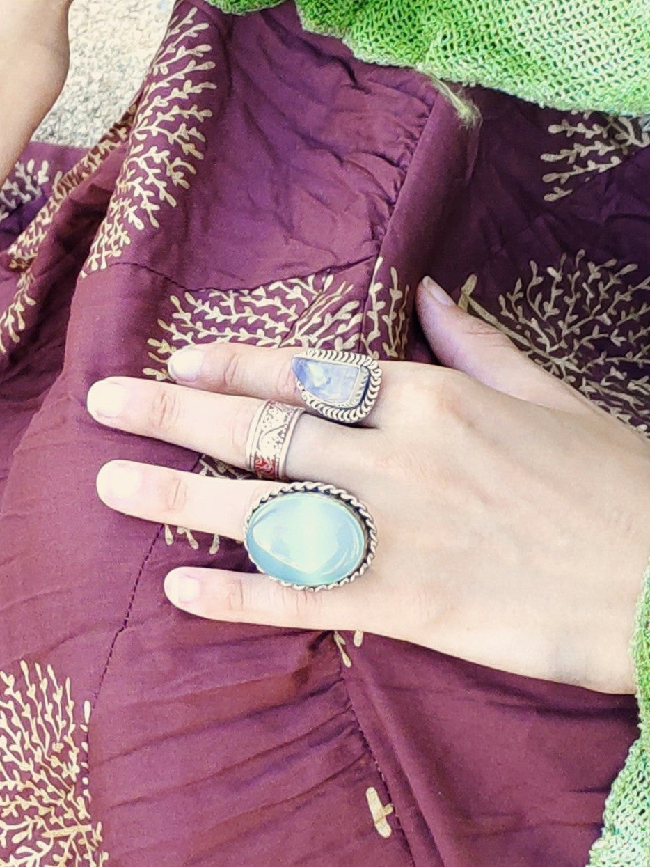 Anillo Minega