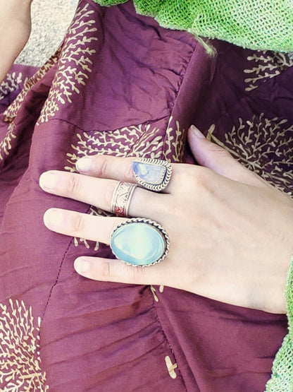 Anillo Minega