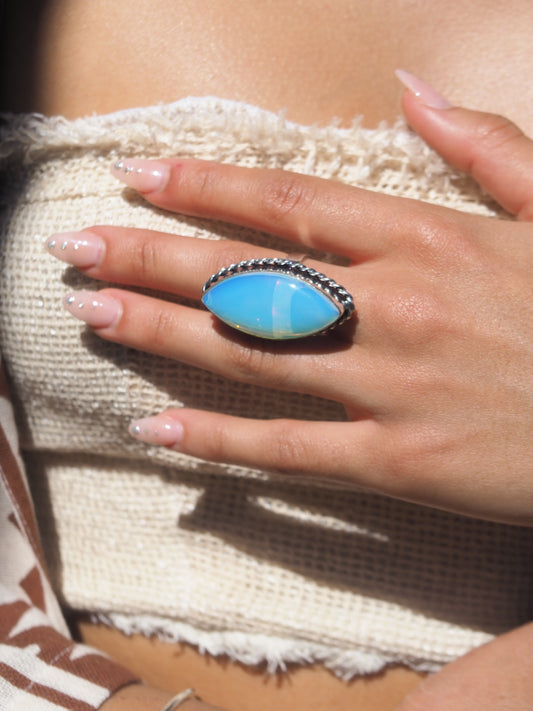 Anillo Ergami